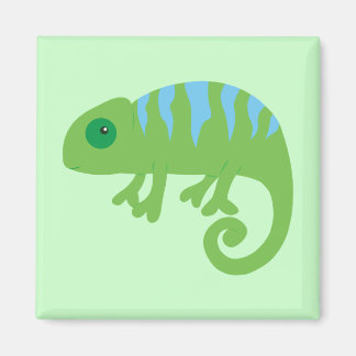 Imán Chameleon