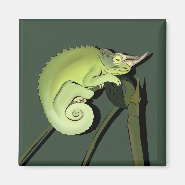 Imán Chameleon de Jackson (Frente)