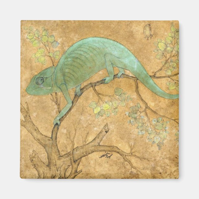 Imán Chameleon (Lizard) (Reptile) (Arte mogol) (Asiátic (Frente)