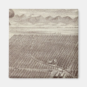 Imán Chapin Fruit Ranch