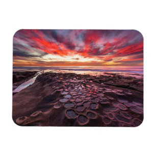 Imán Charcas de marea en La Jolla, CA