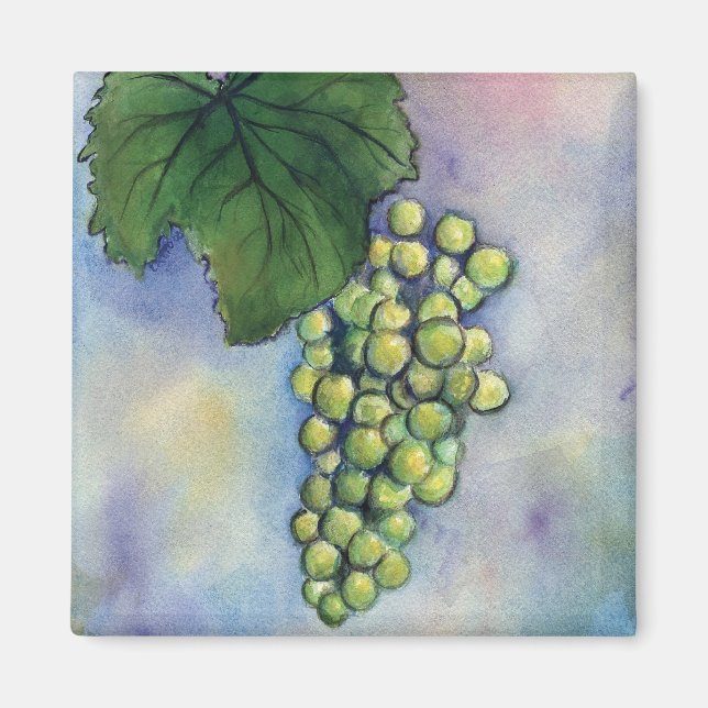 Imán Chardonnay Wine Grapes Magnet (Frente)