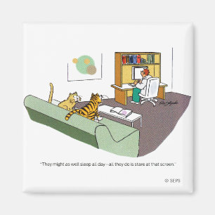 Imán Charla del gato