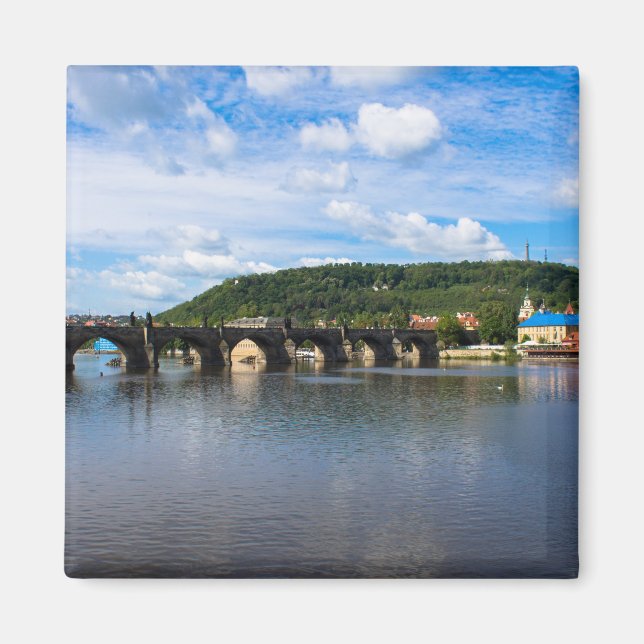 Imán Charles Brige (Frente)