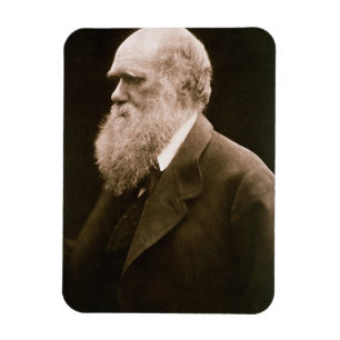 Imán Charles Darwin (1809-82) (foto)