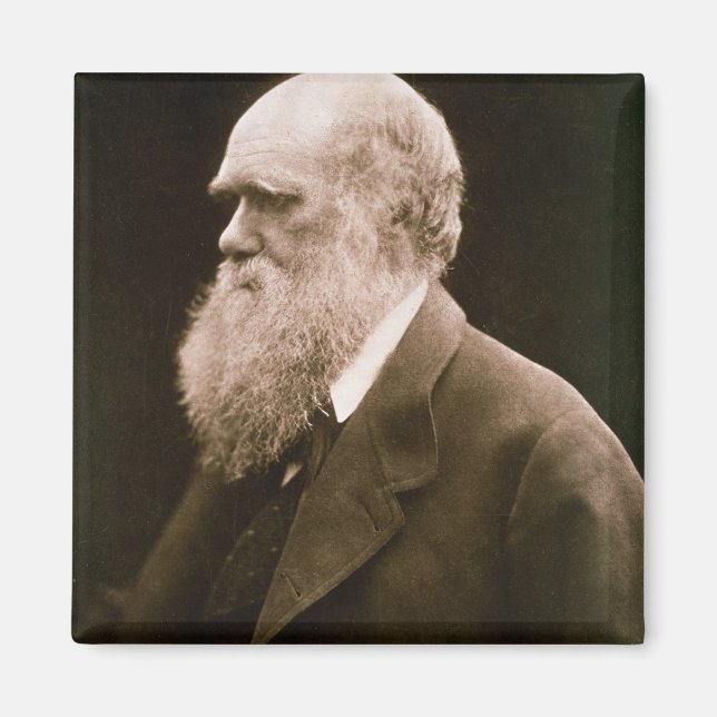 Imán Charles Darwin (1809-82) (foto) (Frente)