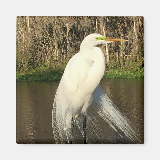 Imán Charlie (Frente)