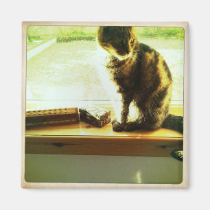 Imán Charlie en la ventana