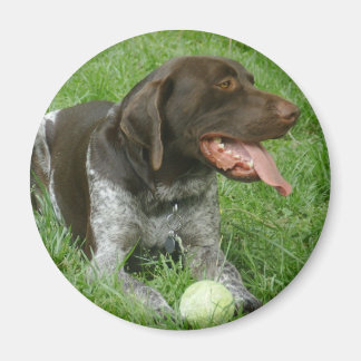 Imán Charlie Magnet