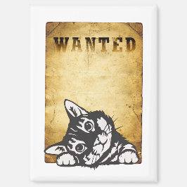 Imán chat recherché