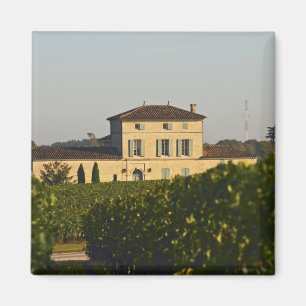 Imán Chateau Lafleur Petrus y viñedo, en Pomerol,