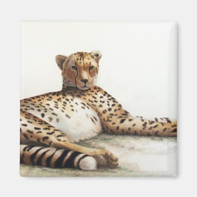 Imán Cheetah (Frente)
