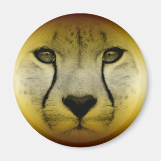 IMÁN CHEETAH FACE