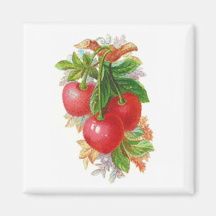 Imán Cherries vintage