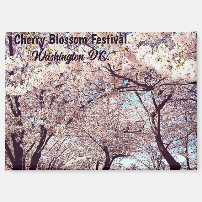 Imán  Cherry Blossom Festival Washington D.C Souvenir (Anverso)