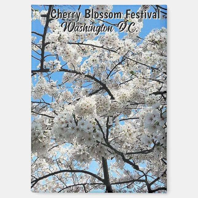 Imán Cherry Blossom Festival Washington D.C. Souvenir (Anverso)