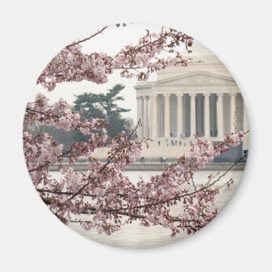 Imán Cherry Blossom Washington DC