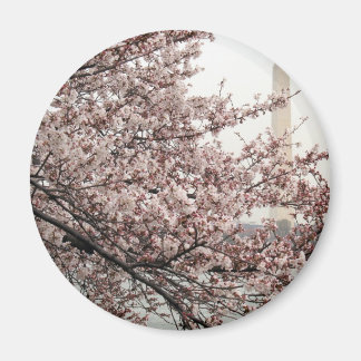 Imán Cherry Blossom Washington DC