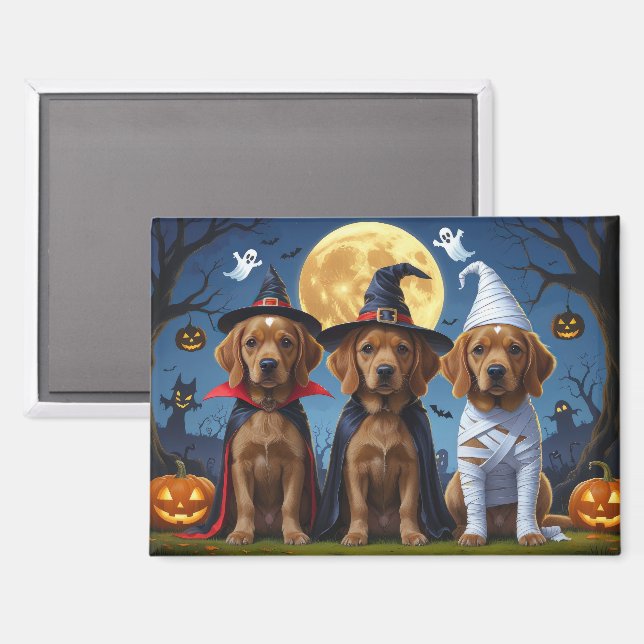 Imán Chesapeake Bay Terrier Pumpkin Halloween Funny (Anverso/Reverso)