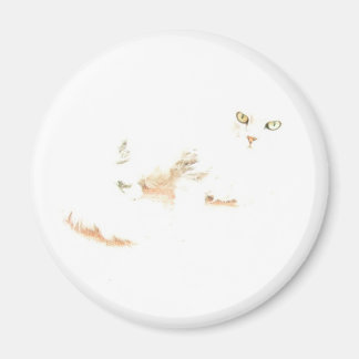 Imán Cheshire Kitten