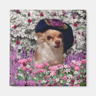 Imán Chi en las flores - Chihuahua cachorro en un Gorra
