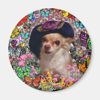 Imán Chi en mariposas - Chihuahua