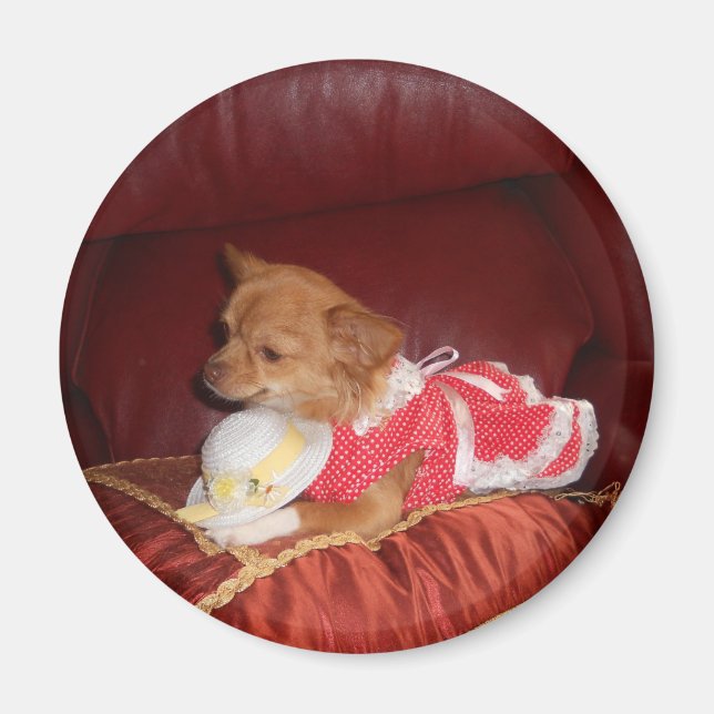 imán chi fiesta (Frente)