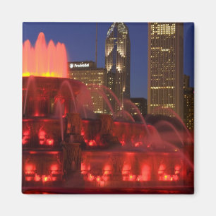 Imán Chicago, Illinois, Fuente Buckingham