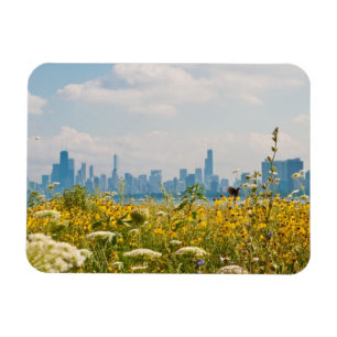 Imán Chicago según lo visto del pájaro del puerto de