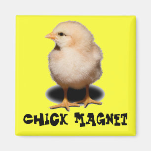 Imán Chick Magnet