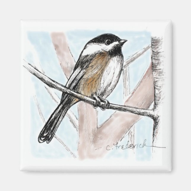 Imán Chickadee (Frente)