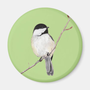 Imán Chickadee