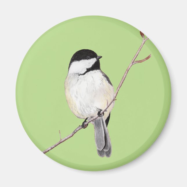 Imán Chickadee (Frente)
