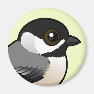Imán Chickadee de Carolina