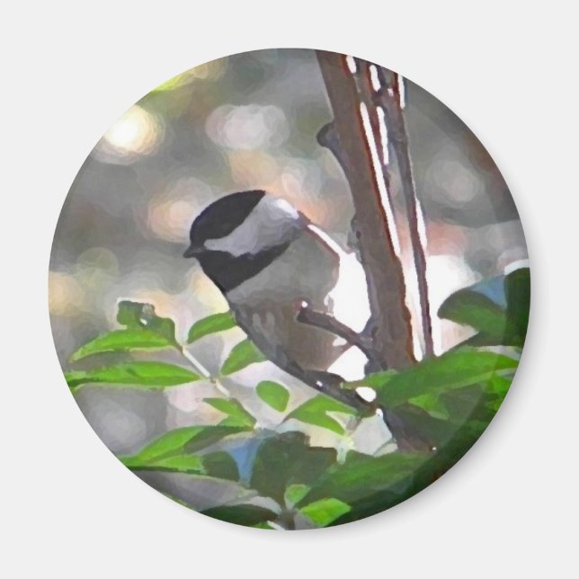 Imán Chickadee Magnet (Frente)