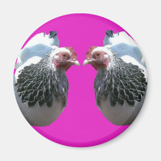 IMÁN CHICKEN DUO SOBRE MAGENTA