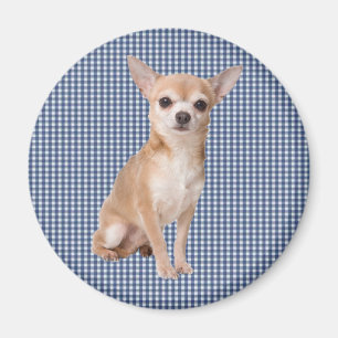 Imán Chihuahua