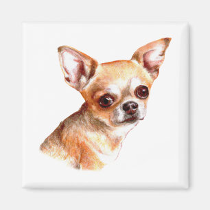 Imán Chihuahua acuarela