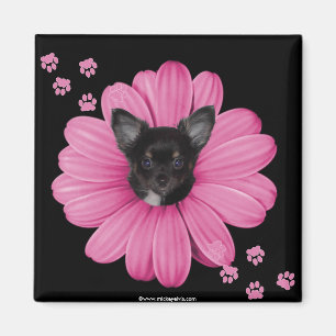 Imán Chihuahua astuta adorable linda del cielo