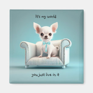 Imán Chihuahua blanca es mi mundo