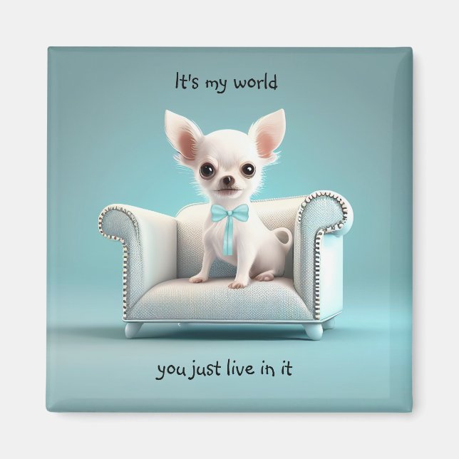 Imán Chihuahua blanca es mi mundo (Frente)