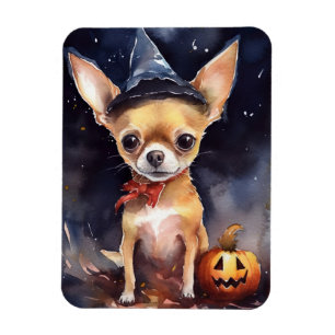 Imán Chihuahua de Halloween con calabazas temerosas