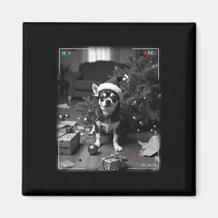 Imán Chihuahua de Navidad Captado por la Cámara