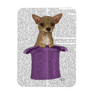 Imán Chihuahua en un sombrero alto