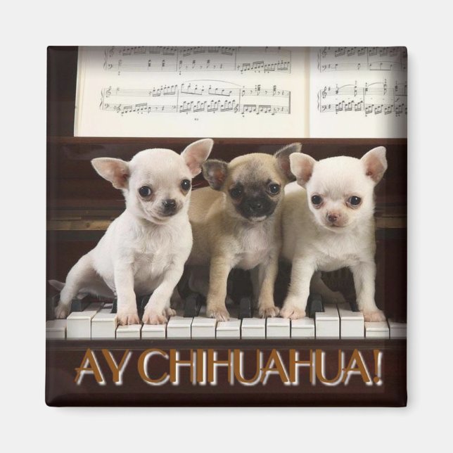 Imán Chihuahua Magnet (Frente)