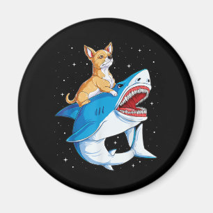 Imán Chihuahua montando la galaxia espacial Jawsome