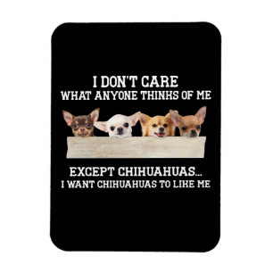 Imán Chihuahua No me importa lo que alguien piense de m