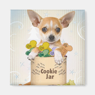 Imán Chihuahua posada con Cookie Jar