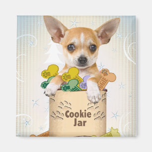 Imán Chihuahua presentada con el tarro de galletas