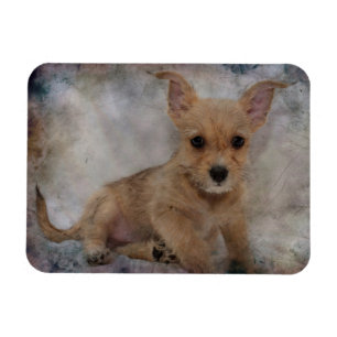 Imán Chihuahua/Yorkie Puppy